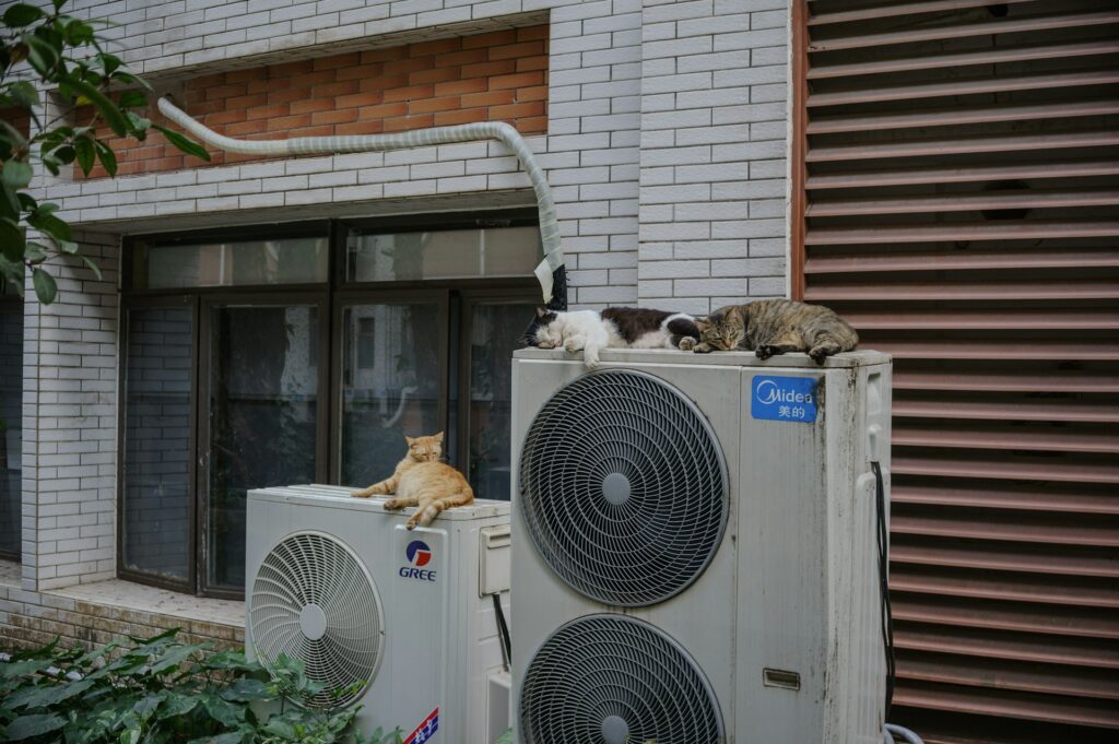 How To Prevent Heat Pump Short Cycling In Blue Springs heat pump
